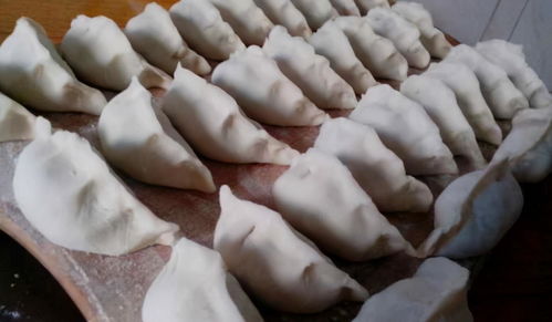 冰箱存餃有妙招，簡(jiǎn)單一步保鮮月余